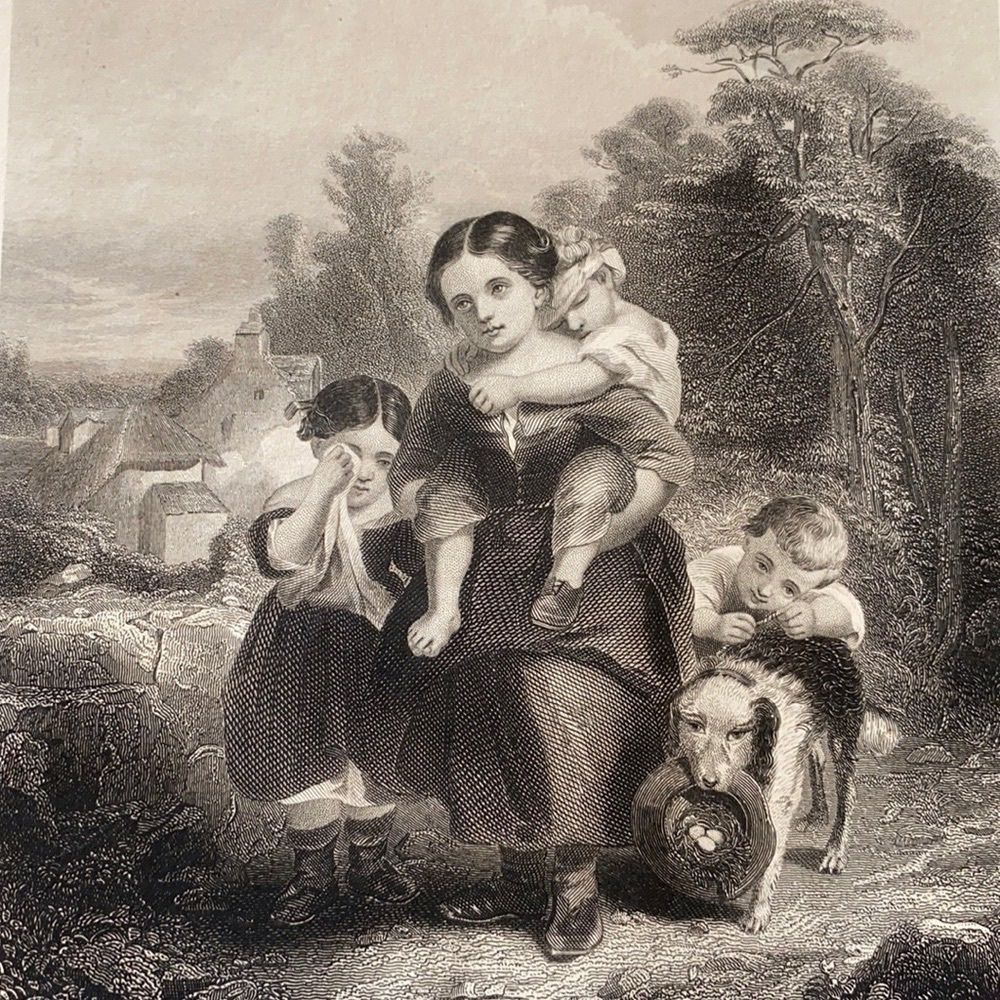 The Birds' Nesters 9.25" x 6.25" Antique Engraving/Print